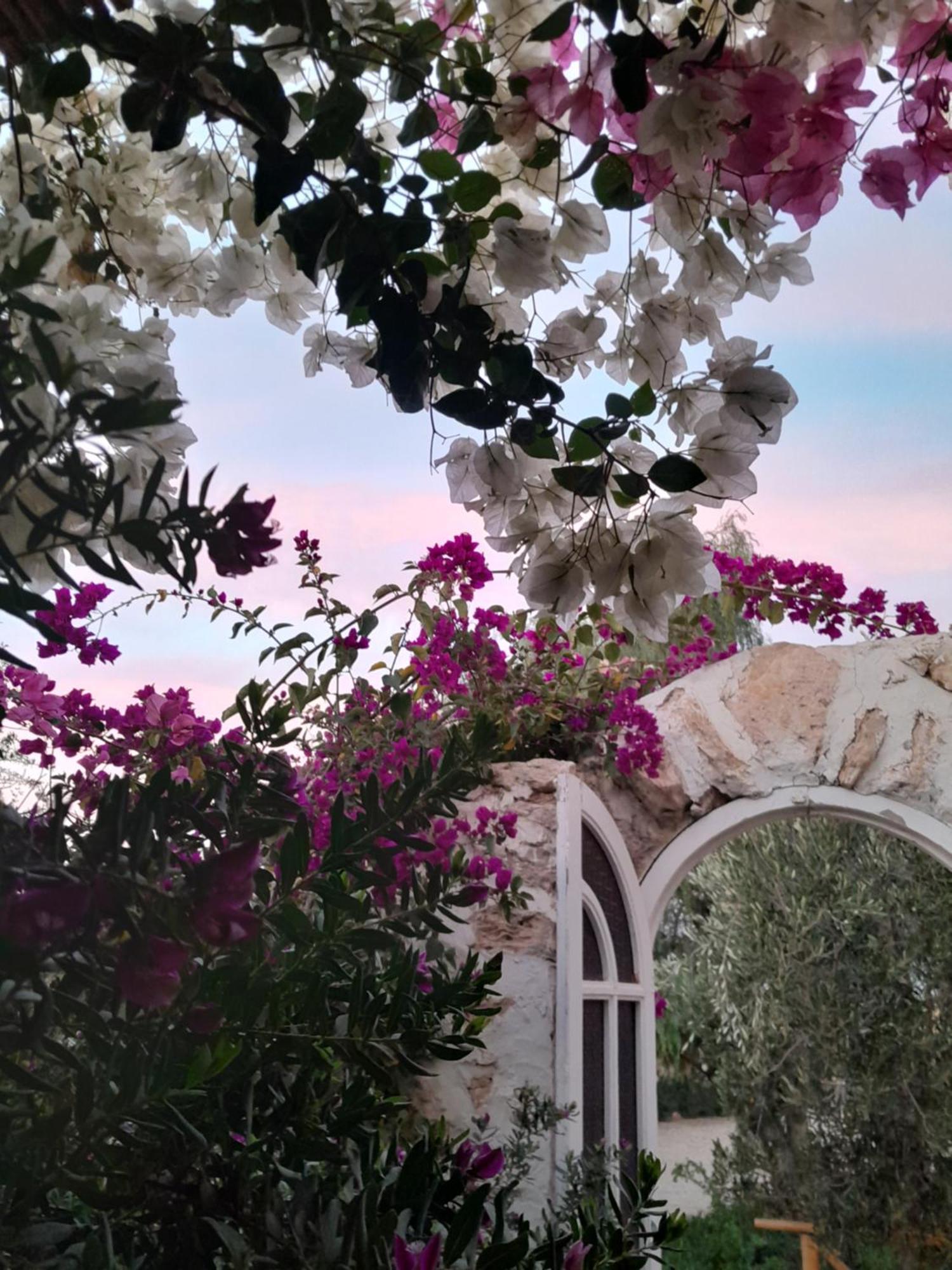 Riad Sanam 에사우이라 외부 사진